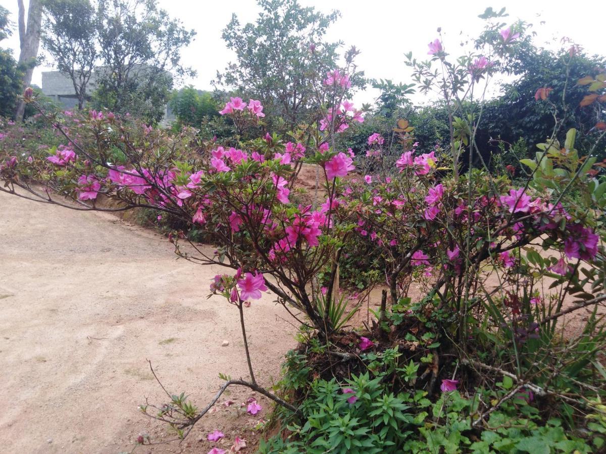 Forest Cyniciam Homestay Ohiya Exterior foto