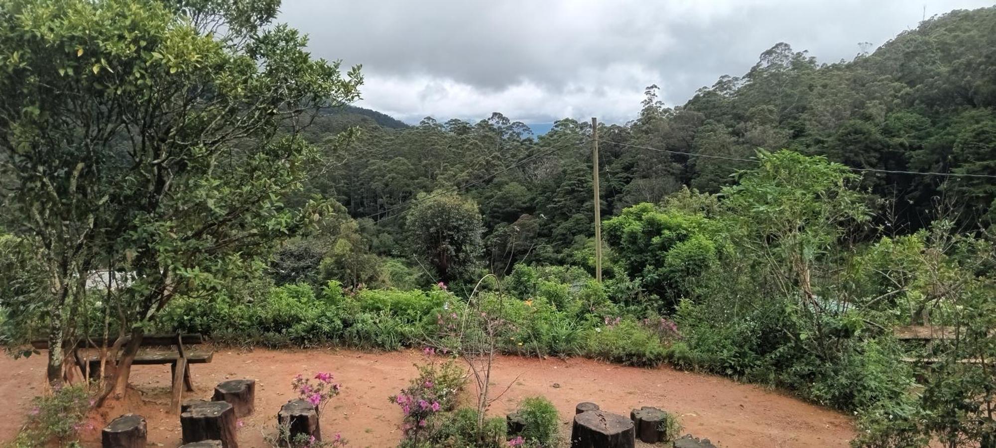 Forest Cyniciam Homestay Ohiya Cameră foto