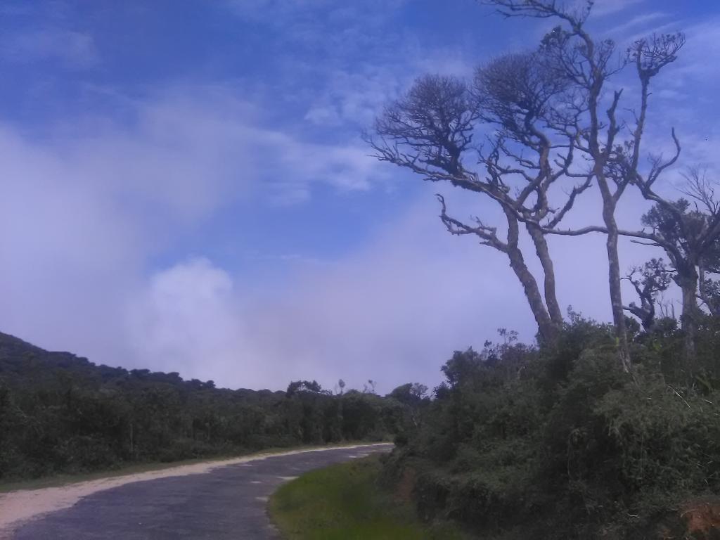 Forest Cyniciam Homestay Ohiya Exterior foto