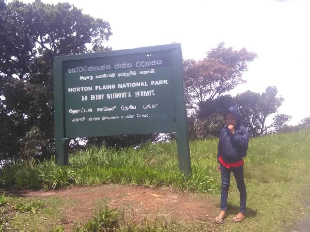 Forest Cyniciam Homestay Ohiya Exterior foto