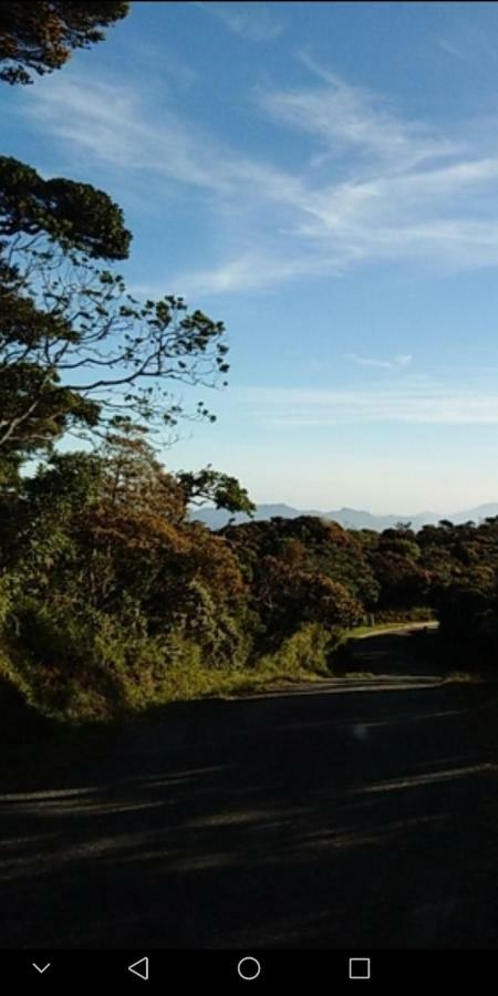 Forest Cyniciam Homestay Ohiya Exterior foto