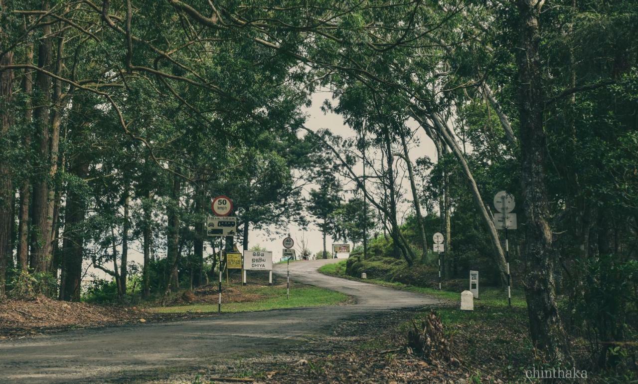Forest Cyniciam Homestay Ohiya Exterior foto