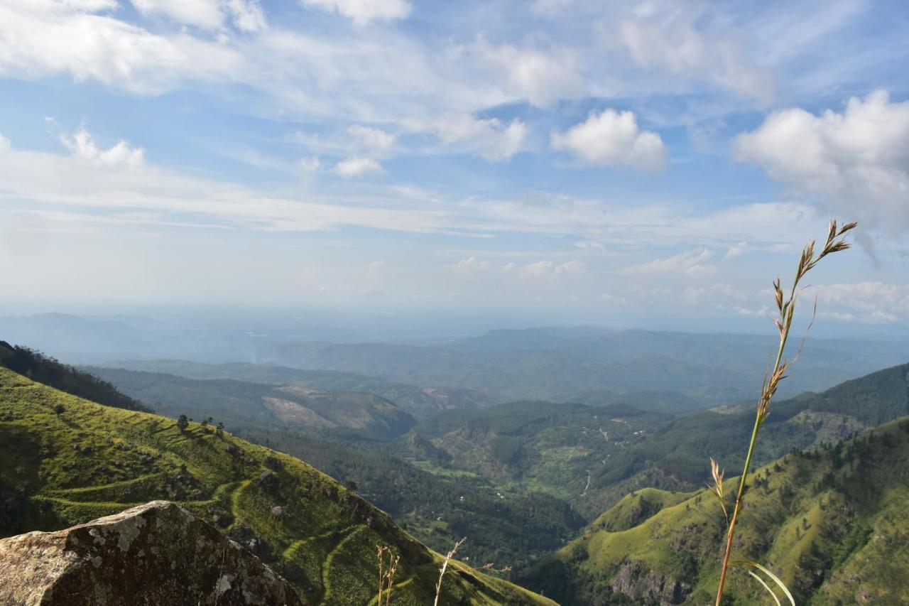 Forest Cyniciam Homestay Ohiya Exterior foto